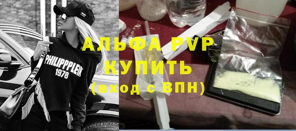 гашик Пестово